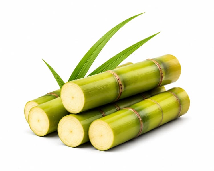 SUGARCANE BASED